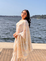 Chikankari Pure Chiffon Saree