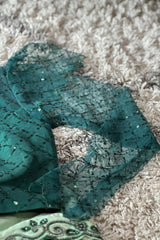 Green Saree with Stone work and along Waist Belt