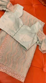 Vasundhara Fashions light green organza saree with intricate silver sequin embroidery and matching stitched blouse