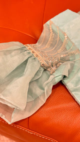 Vasundhara Fashions light green organza saree featuring a stitched blouse with intricate silver sequin embroidery