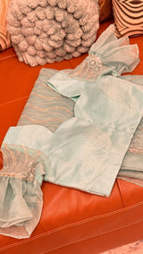 Vasundhara Fashions light green organza saree with matching stitched blouse featuring intricate silver embroidery