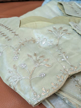 Vasundhara Fashions light green tissue saree featuring intricate silver thread embroidery and sparkling stone work.