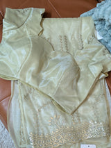 Vasundhara Fashions light green tissue saree featuring delicate gold embroidery and shimmering sequin embellishments.