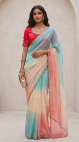 Vasundhara Fashions multicolor organza saree with a vibrant red embroidered blouse featuring intricate floral work.