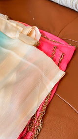Vasundhara Fashions multicolor organza saree featuring sheer pastel and vibrant pink fabric with gold lace trim.