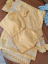 Vasundhara Fashions mustard organza saree with intricate silver sequin embroidery and matching stitched blouse.