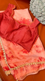 Vasundhara Fashions peach organza saree with floral print and matching red sleeveless blouse with gold trim