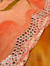Vasundhara Fashions pink organza saree featuring intricate hand-painted gold details and a decorative mirror border.