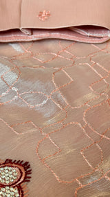 Vasundhara Fashions pink organza saree featuring delicate geometric thread embroidery and shimmering sequin details.